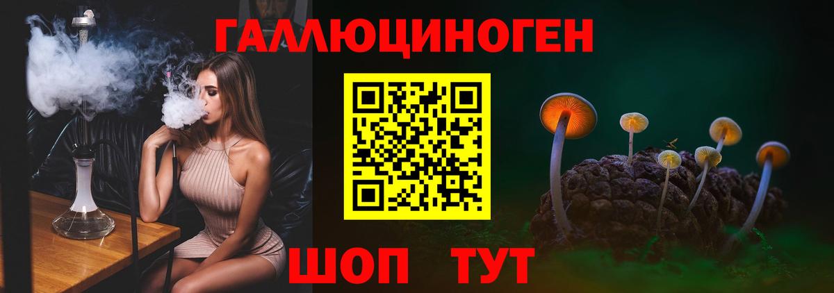 Галлюциногенные грибы Cubensis Дербент